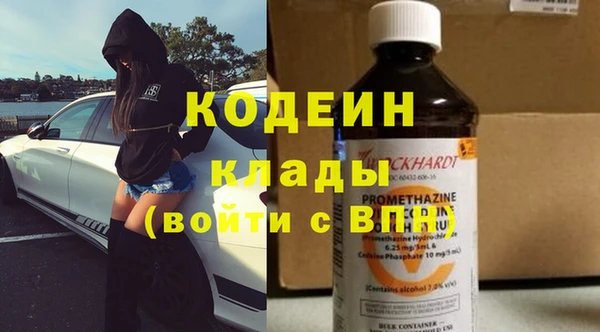 амф Гусев