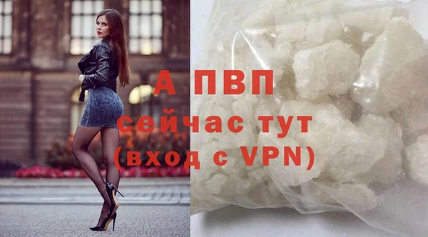 мяу мяу мука Гусь-Хрустальный