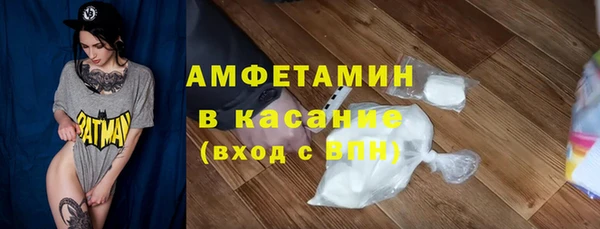 амф Гусев