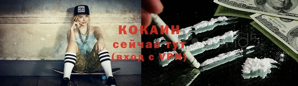 мяу мяу мука Гусь-Хрустальный