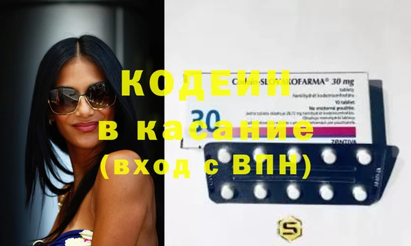амф Гусев