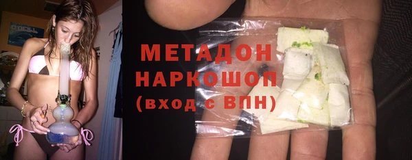 амф Гусев