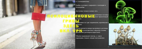 мяу мяу мука Гусь-Хрустальный