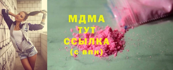 амф Гусев
