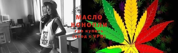 мяу мяу мука Гусь-Хрустальный