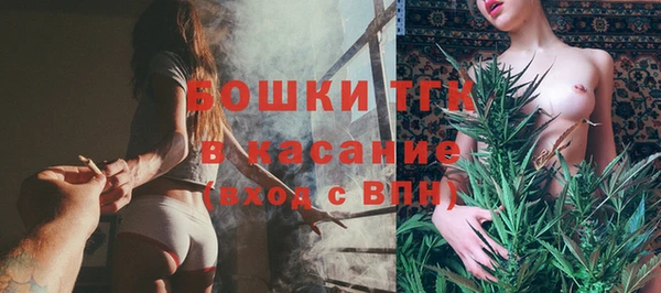 мяу мяу мука Гусь-Хрустальный