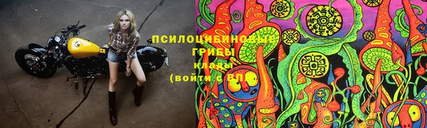 дурь Семикаракорск