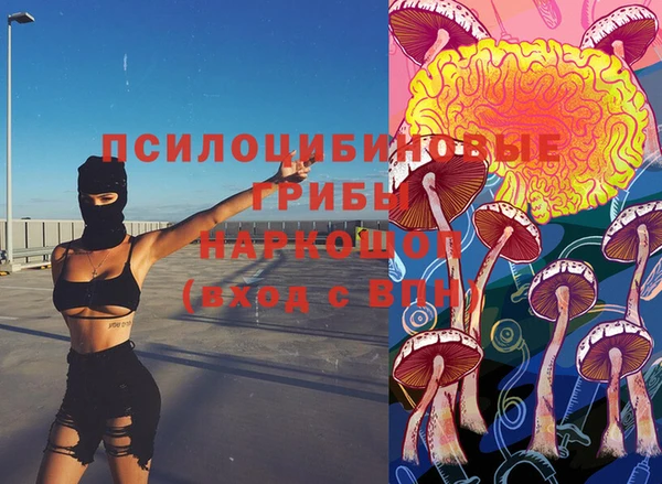 мяу мяу мука Гусь-Хрустальный