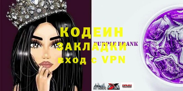 амф Гусев