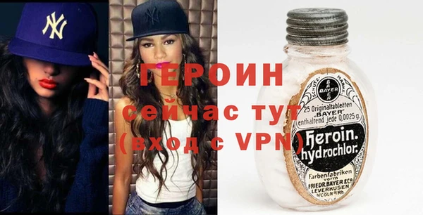 амф Гусев