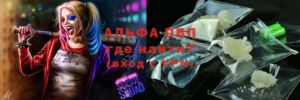 амф Гусев