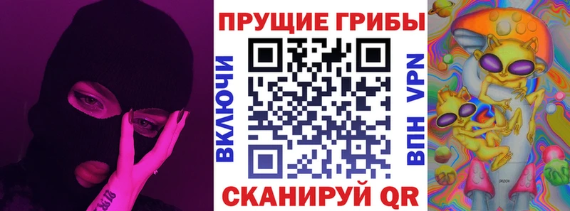 где можно купить наркотик  маркетплейс какой сайт  Галлюциногенные грибы мухоморы  Высоцк 